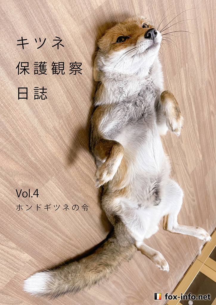 キツネ写真集」キツネ保護観察日誌 Vol.4 -ホンドギツネの令- - fox